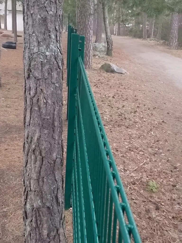 juuttumisrako aidan ja puun välissä